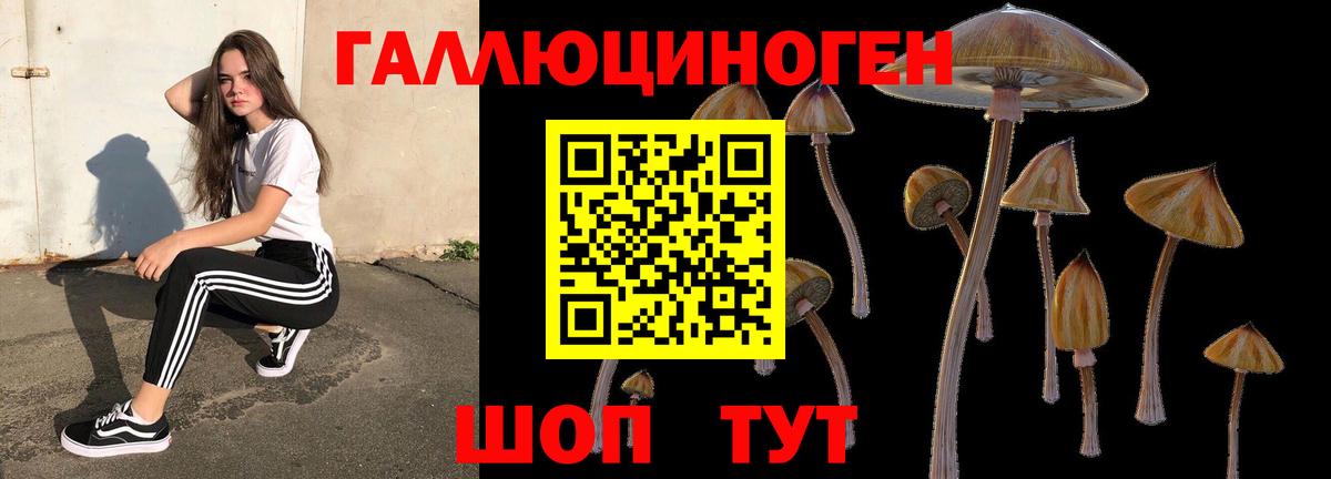 дарнет шоп  Галлюциногенные грибы ЛСД  Галлюциногенные грибы Psilocybe  Вход с VPN  Кубинка 